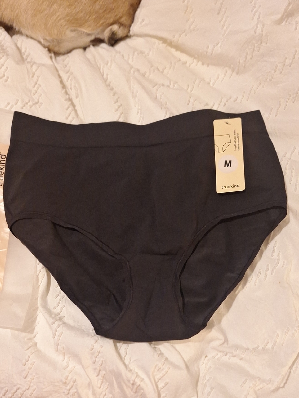 truckkind Women's High-Waist Full Coverage Panty in Black - M